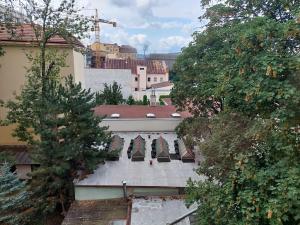 Pronájem bytu 1+1, Praha - Žižkov, Krásova, 30 m2