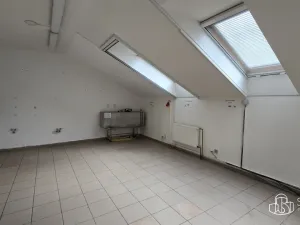 Pronájem obchodního prostoru, Sokolov, Trocnovská, 876 m2