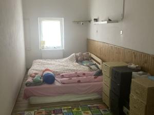 Prodej rodinného domu, Hejtmánkovice, 460 m2