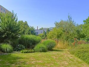 Pronájem kanceláře, Havlíčkův Brod, Husova, 250 m2