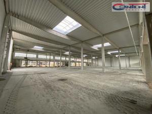 Pronájem výrobních prostor, Stříbro, Tř. 5. května, 7500 m2