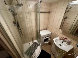 Prodej bytu 1+1, Bílina - Pražské Předměstí, Aléská, 34 m2