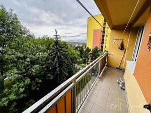 Prodej bytu 1+1, Bílina - Pražské Předměstí, Aléská, 34 m2