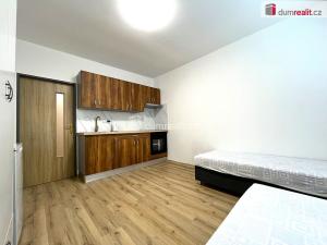 Pronájem bytu 1+1, Habartov, 1. máje, 30 m2