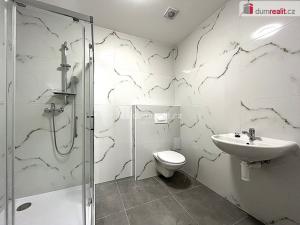 Pronájem bytu 1+1, Habartov, 1. máje, 30 m2