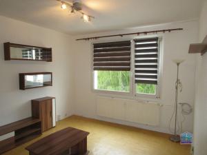 Pronájem bytu 1+1, Tachov, Žižkova, 30 m2