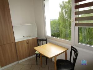 Pronájem bytu 1+1, Tachov, Žižkova, 30 m2
