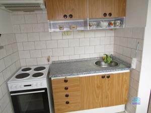 Pronájem bytu 1+1, Tachov, Žižkova, 30 m2