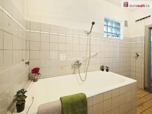 Prodej rodinného domu, Děčany - Solany, 438 m2