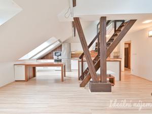 Pronájem bytu 5+kk, Brno, Merhautova, 136 m2