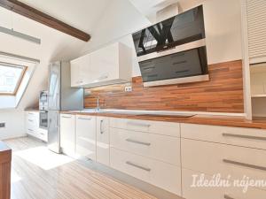 Pronájem bytu 5+kk, Brno, Merhautova, 136 m2