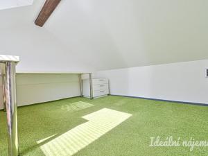 Pronájem bytu 5+kk, Brno, Merhautova, 136 m2