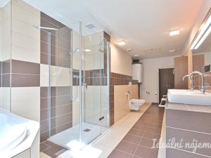 Pronájem bytu 5+kk, Brno, Merhautova, 136 m2