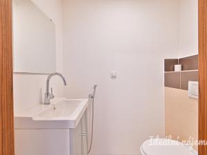 Pronájem bytu 5+kk, Brno, Merhautova, 136 m2