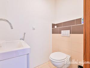 Pronájem bytu 5+kk, Brno, Merhautova, 136 m2