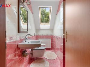 Prodej zemědělské usedlosti, Nová Role - Mezirolí, 900 m2