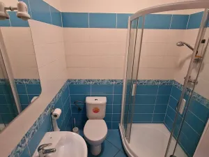 Pronájem obchodního prostoru, Příbram, Riegrova, 158 m2