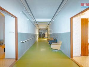 Prodej rodinného domu, Nové Město nad Metují, Rezek, 1700 m2