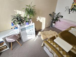 Pronájem bytu 3+kk, Ostrava, Havlíčkovo náměstí, 52 m2