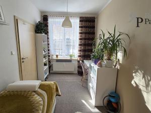Pronájem bytu 3+kk, Ostrava, Havlíčkovo náměstí, 52 m2