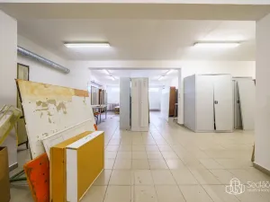 Prodej výrobních prostor, Krásno, Kladenská, 4900 m2