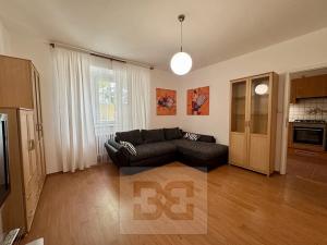 Pronájem bytu 1+1, Brno, Merhautova, 50 m2