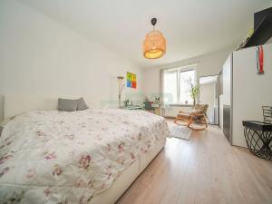 Pronájem bytu 2+kk, Praha - Nusle, U Slovanské pojišťovny, 47 m2
