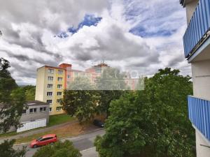 Pronájem bytu 1+kk, Plzeň, Mandlova, 23 m2