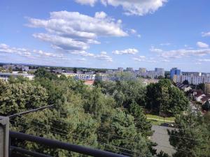Pronájem bytu 3+1, Hradec Králové - Slezské Předměstí, Severní, 64 m2