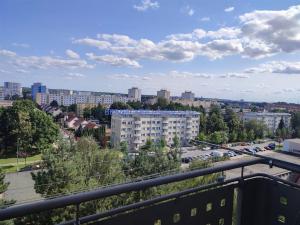 Pronájem bytu 3+1, Hradec Králové - Slezské Předměstí, Severní, 64 m2