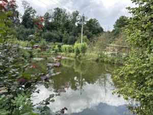 Prodej zahrady, Třinec - Lyžbice, 243 m2