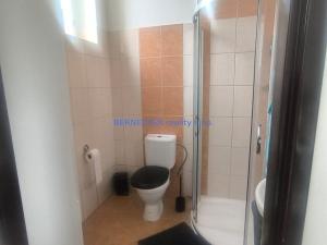 Pronájem bytu 2+1, Hradec Králové, Švehlova, 75 m2