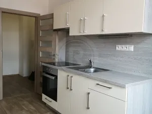 Pronájem bytu 1+1, České Budějovice, Karla IV., 41 m2