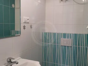 Pronájem bytu 1+1, České Budějovice, Karla IV., 41 m2