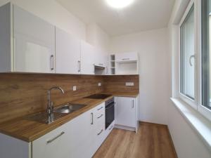 Pronájem bytu 1+kk, Plzeň - Jižní Předměstí, Na Jíkalce, 76 m2