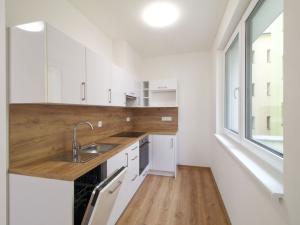 Pronájem bytu 1+kk, Plzeň - Jižní Předměstí, Na Jíkalce, 76 m2
