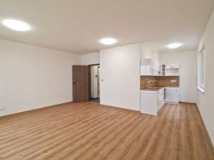 Pronájem bytu 1+kk, Plzeň - Jižní Předměstí, Na Jíkalce, 76 m2