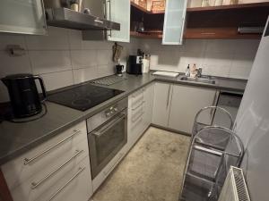 Pronájem bytu 3+kk, Opava, Horní náměstí, 109 m2