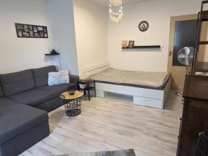 Prodej bytu 3+1, Česká Ves, Haškova, 66 m2