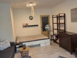 Prodej bytu 3+1, Česká Ves, Haškova, 66 m2