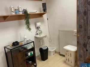 Pronájem komerční nemovitosti, Prostějov, 36 m2