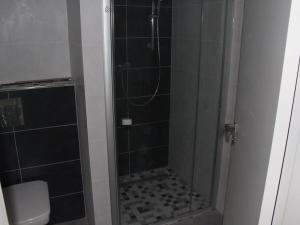 Pronájem bytu 1+kk, České Budějovice - České Budějovice 2, Plukovníka Malého, 36 m2