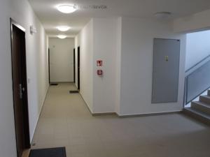Pronájem bytu 1+kk, České Budějovice - České Budějovice 2, Plukovníka Malého, 36 m2