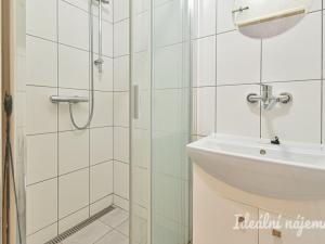 Pronájem bytu 1+1, Brno, Vodařská, 42 m2