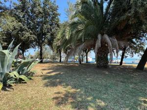 Prodej bytu 2+kk, Silvi,Itálie, 58 m2