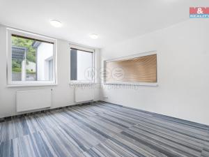 Pronájem výrobních prostor, Mladá Boleslav, U přejezdu, 497 m2