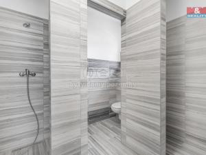 Pronájem výrobních prostor, Mladá Boleslav, U přejezdu, 497 m2