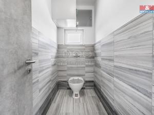 Pronájem výrobních prostor, Mladá Boleslav, U přejezdu, 497 m2