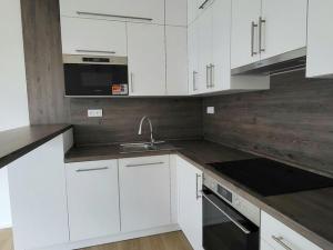 Pronájem bytu 2+kk, Brno - Staré Brno, Nové sady, 50 m2