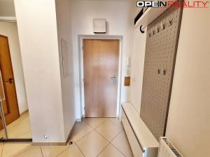 Pronájem bytu 2+kk, Brno, Místní, 45 m2